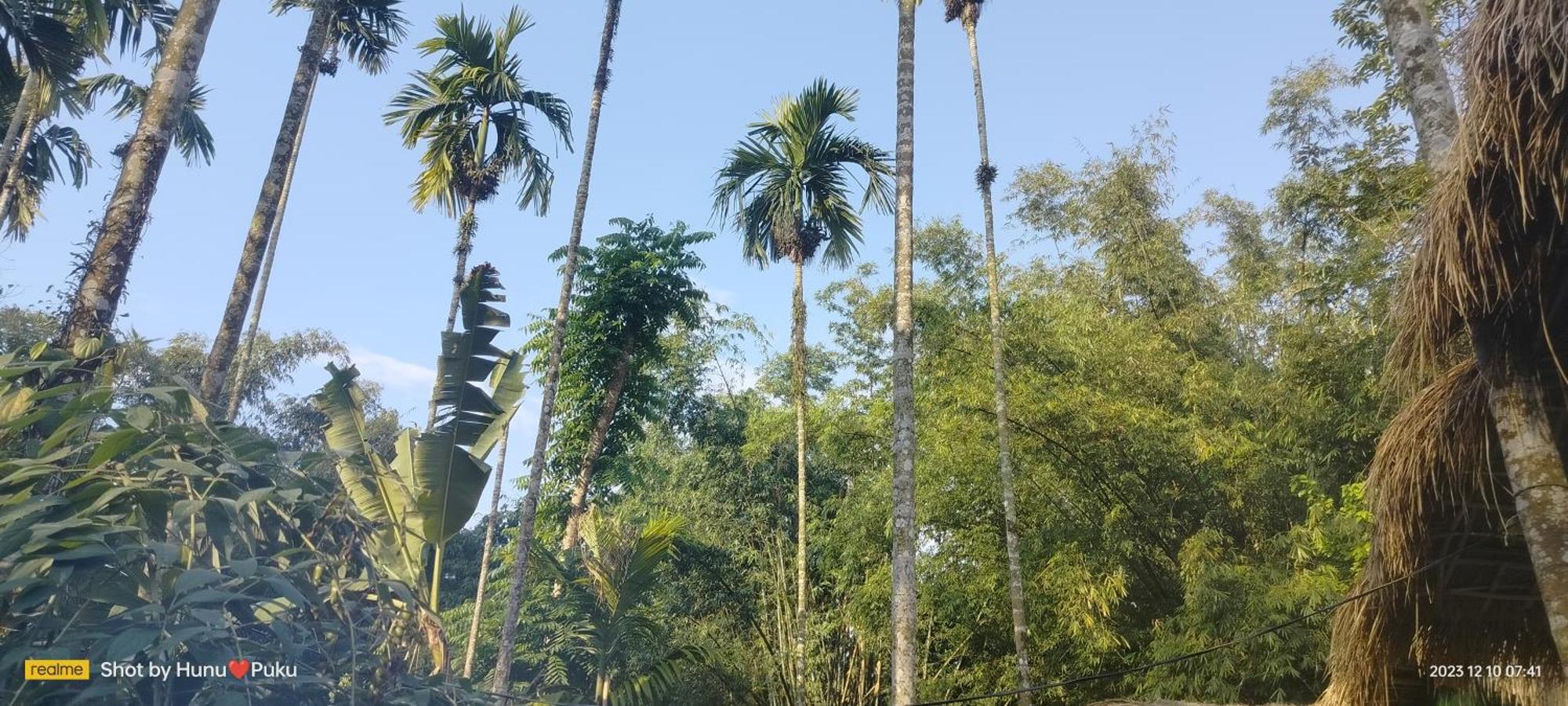 Tranquil Bambusic Bliss Villa Kaziranga Exterior photo