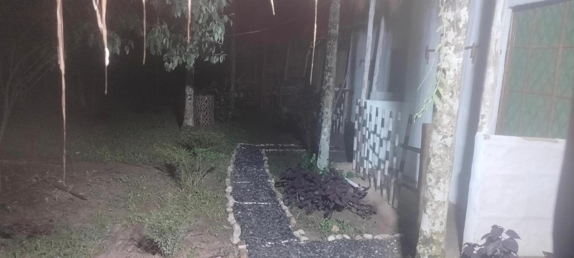 Tranquil Bambusic Bliss Villa Kaziranga Exterior photo
